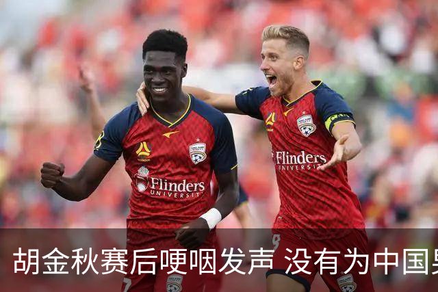 胡金秋赛后哽咽发声 没有为中国男篮做更多，网友:你做的已够多了