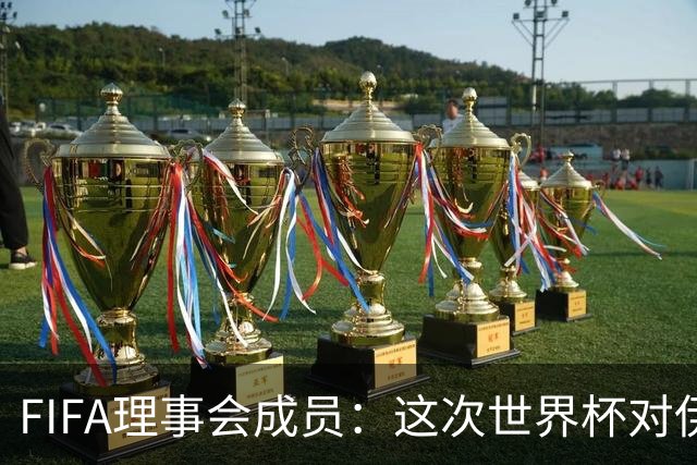 FIFA理事会成员：这次世界杯对伊朗太不公平，政治问题太敏感了